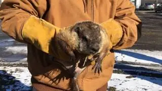 Groundhog Day at Space Farms