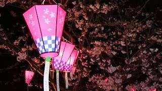 Kushion - Flowers From Japan (Official Audio)