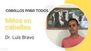 Caballos Para Todos - Mitos en caballos