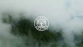 Helping You Thrive v.2 - Global Healing Center