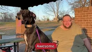 Tulsa Dog Training | Client Testimonial | Great Dane | 