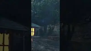Rain in backyard #rain #beautyofrain #sleepmusic #thunderstorm #rainsounds #storm #relax