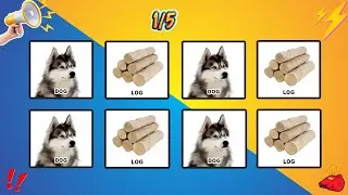 Say The Word On Beat Challenge Part 17 | Level 1 - 5 | Level Easy to Insane