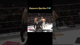 Каршыга Даутбек🔥🐺 #боец #mma #naiza #rizin #казах #мма #shorts