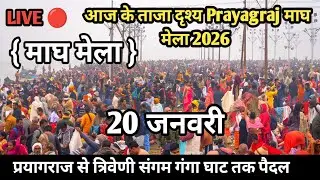 Prayagraj Magh Mela 2026 | माघ मेला 20 जनवरी गंगा स्नान | prayagraj Magh Live| आज की ताज दृश्य