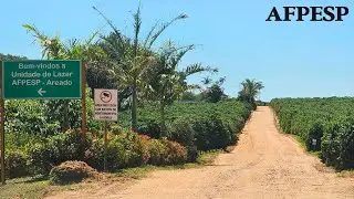 Como Chegar na AFPESP de Areado! Estrada para chegar na Unidade de Lazer AFPESP de Areado #Afpesp