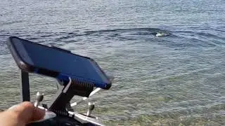 PowerDolphin (PowerVision) - self righting