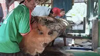The most brutal and stressful sawmill process: The largest teak wood factory