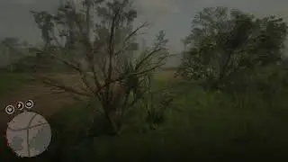 Collect with MotherWolf Inn RDR2