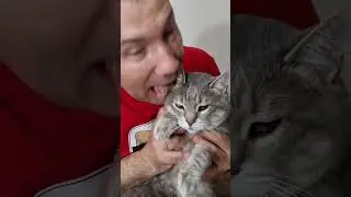 Komik Kedi Videosu B&ouml;yle Olur