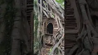 Build Shelter Under A 300 Years Old Giant Tree !! Reels !! 🌳😱