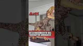 #descubrimiento del #tachiraptor #admirabilis