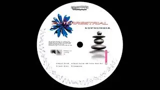 Ex-Terrestrial &lrm;- Mojave Skyline (ANF Virtual Music Mix) [MAGIC016]