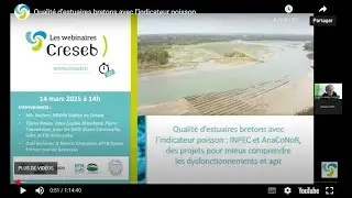 Qualit&eacute; d&rsquo;estuaires bretons avec l&rsquo;indicateur poisson
