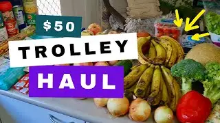 My $50 Loaves & Fishes Haul (Brisbane) | How I’m Saving Money During the Cost-of-Living Crunch