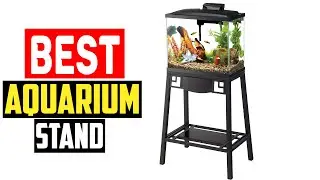 ✅Best Aquarium Stand in 2025