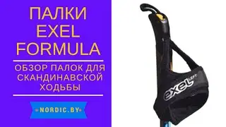 Палки Exel Formula для скандинавской ходьбы.