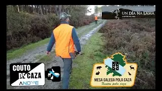 UN D&Iacute;A DE CAZA TR&Aacute;S O RAPOSO NO TECOR DA LAMA