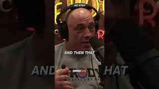 Joe Rogan EXPOSES The Truth Behind The LA River😳