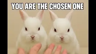 How the Humans Were Chosen to Serve My Family