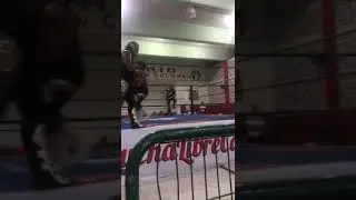 Caballero galactico vs panther boy