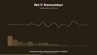 WellRemember Robin