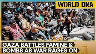 Israel-Hamas War: Gaza Crisis Deepens: Hunger & Airstrikes Claim More Lives | WION