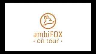 The Fox On Tour