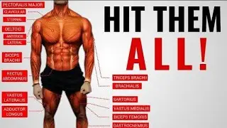 Natural bodybuilding split - the reality  #gym  #fitness