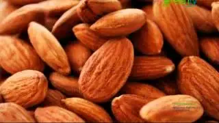 NUTRICIÓN, PREGUNTAS Y RESPUESTAS DEL PÚBLICO PGM 123 B4