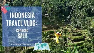 Indonesia travel: dolazak na Bali, vulkan, ljuljaska i pirincana polja :)