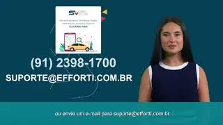 Conhe&ccedil;a o SERVEI PA - Sistema de servi&ccedil;os veiculares