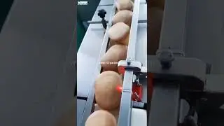 Multifunctional baked food bag packaging machine bread packing line