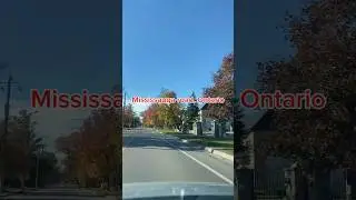 These fall colors in Mississauga are insane #autumn #canada  #nature
