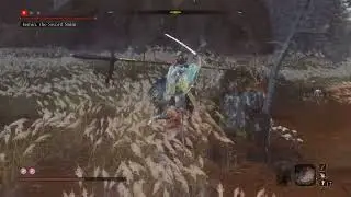 Sword Saint Isshin