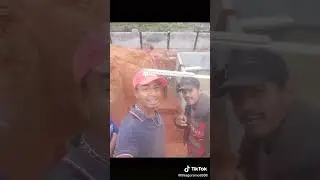 n&atilde;o importa o tamanho do desafio Deus &eacute; maior, escava&ccedil;&atilde;o C.A Piscinas