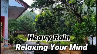 Gentle Rain Sounds for Deep Sleep & Relaxation, Beat Insomnia (No Music, 4K Night Rain Ambience)