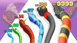 Snake Evolution Run 3D - Level Up Snake Satisfying Gameplay Part 1