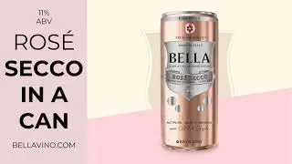 Best Ros&eacute; Prosecco: A Premium Canned Sparkling Wine for 2021. Taste Bella Vino by Bella Principessa