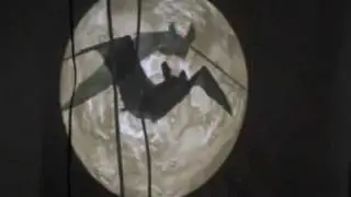 Bechstein's Bat