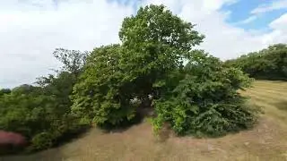 FPV in a park/noEdit