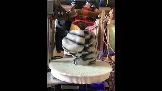 Polar 3D Printer - Turntable Timelapse