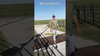 Cattle guard explained