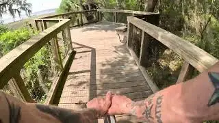 3/7/23 Alachua Lake Overlook. Gainesville, Fl