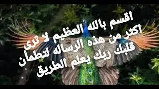 اقسم بالله لن ترى فرحه لقلبك مثل هذه الرساله