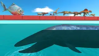 Run Through Biologic Blue Whale Bay &ndash; Survive or Be Devoured by Sea Monsters? | ARBS