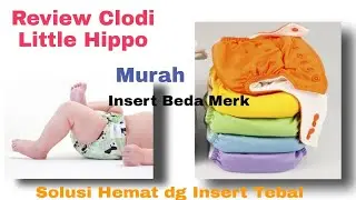 REVIEW CLODI YANG BAGUS, LITTLE HIPPO