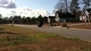 Cat walking golfcart