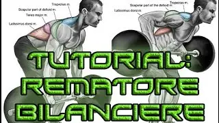 Tutorial: rematore con bilanciere (presa prona)