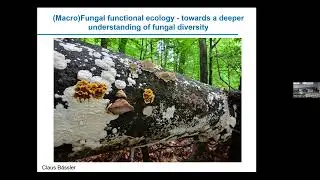 Seminar: (Macro)Fungal Functional Ecology &ndash; Towards a Deeper Understanding of Fungal Diversity